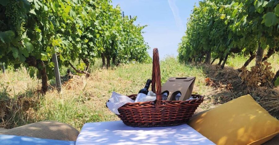 Monferrato: Garetto Wine Estate Tour and Picnic Private - Who Would Love This Tour?