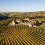 Monforte d'Alba: 7 glasses of Langhe with visit to Winery and Vineyards - Who Should Consider This Tour?