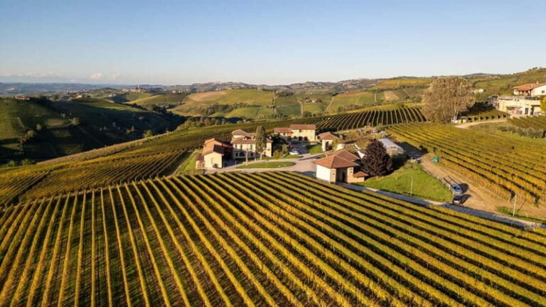 Monforte d'Alba: 7 glasses of Langhe with visit to Winery and Vineyards - Who Should Consider This Tour?