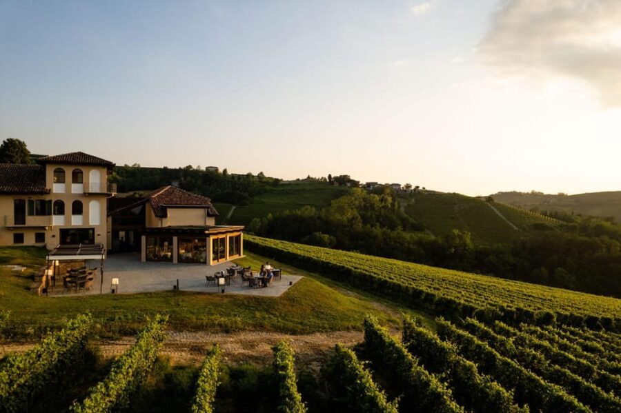 Monforte d'Alba: Barolo Tasting, Vineyard & Cellar Visit - Who Will Love This Tour?