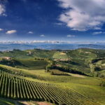 Monforte d'Alba: Picnic & Big Benches - The Sum Up