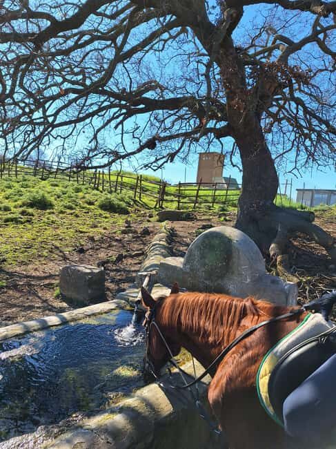 Mongrando: Horseback Ride with Lunch or Dinner - Key Points