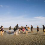 Mont-saint-Michel : Walk in the heart of the Bay - Practical Details and What to Bring