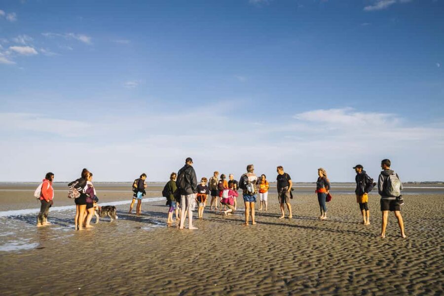 Mont-saint-Michel : Walk in the heart of the Bay - Practical Details and What to Bring