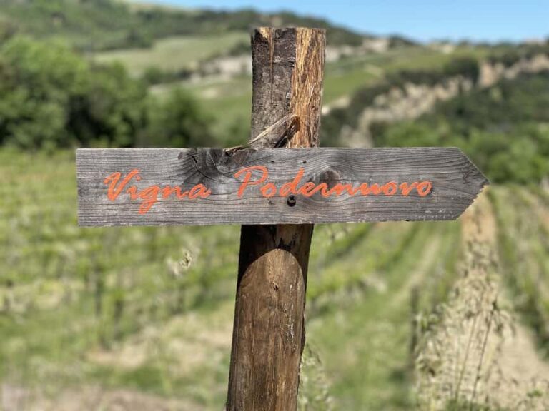 Montalcino: Molino Winery Tour & Wine Tasting - Why This Tour Offers Great Value