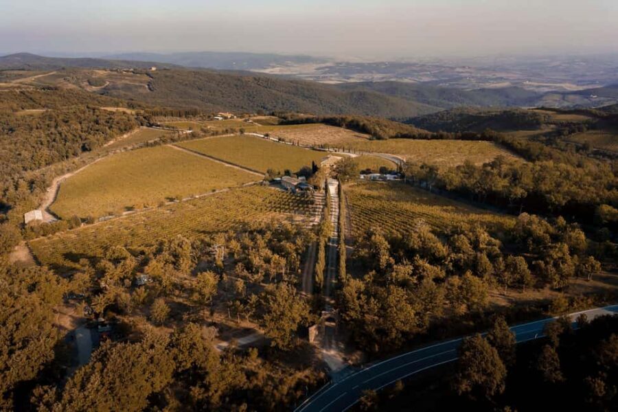 Montalcino: Vertical Tasting - A Closer Look at the Experience