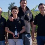 Montefalco: Winery and Vineyard Tour and Private Tasting - A Closer Look at the Experience