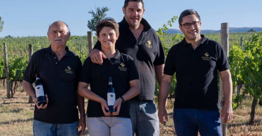 Montefalco: Winery and Vineyard Tour and Private Tasting - A Closer Look at the Experience