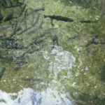 Montenegro & Bosnia 2 Countries in 1 Day Tour from Dubrovnik - What We Think About the Value