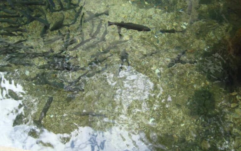 Montenegro & Bosnia 2 Countries in 1 Day Tour from Dubrovnik - What We Think About the Value