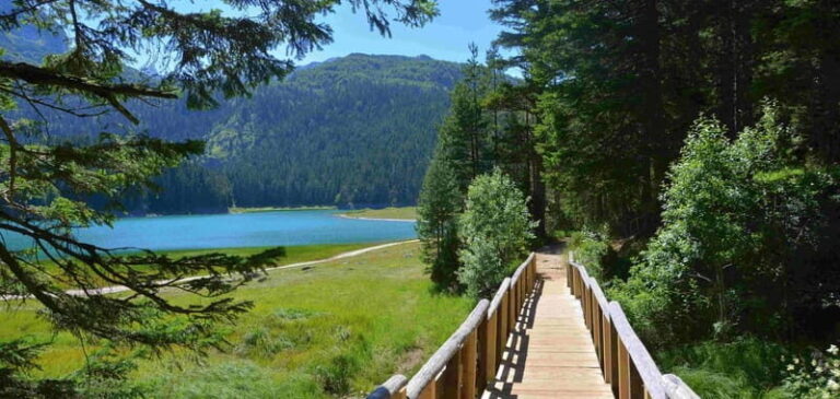 Montenegro Canyons day trip from Herceg Novi - What makes this tour valuable?