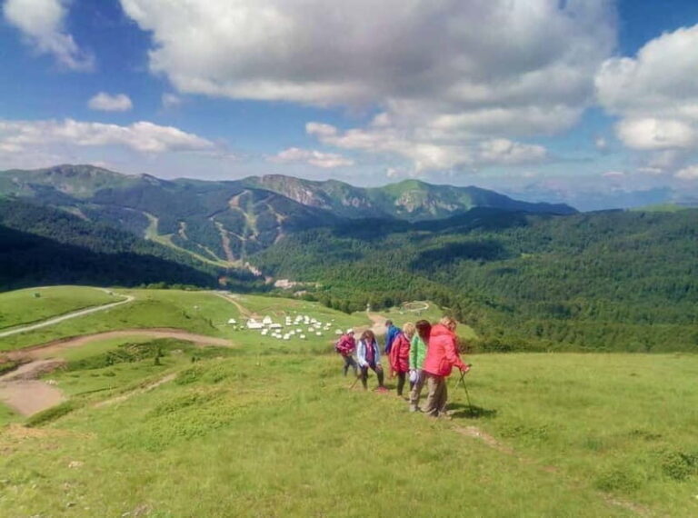 Montenegro: The Ring of Bjelasica Jeep Safari Private Tour - Practical Details and What to Expect