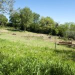 Montepulciano: Cinta Senese Tour With Food Tasting - Practical Details & Tips