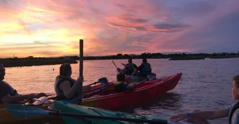 Montpellier : Birdwatching by kayak in Camargue - Who Will Love This Experience?