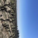 Montpellier : half day wine tour in Camargue - The Itinerary in Detail: What to Expect