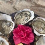 Montpellier: Half-Day Wine Tour with Lunch - An In-Depth Look at the Tour Experience