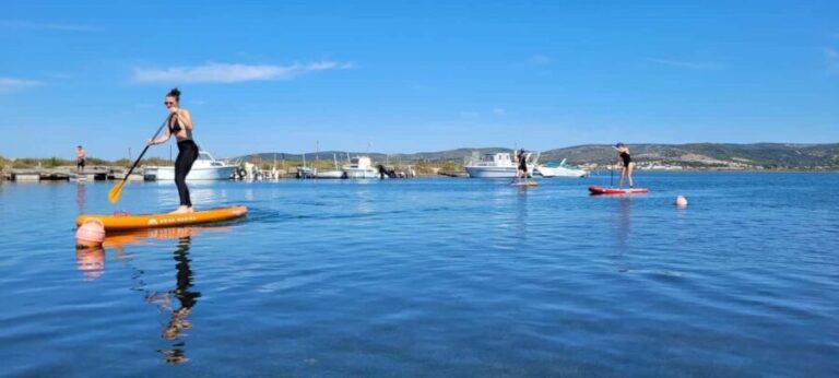 Montpellier: Paddle Coaching Course - The Equipment and Inclusions