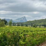Montpellier: Pic Saint-Loup Wine Tour - Exploring the Itinerary in Detail