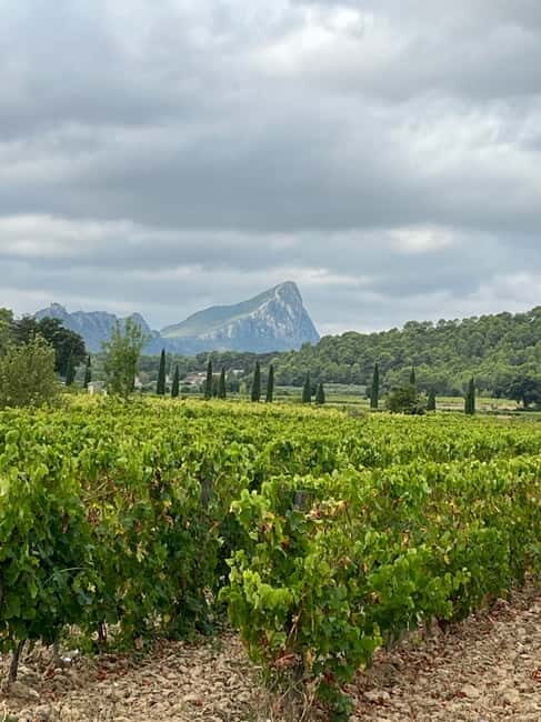 Montpellier: Pic Saint-Loup Wine Tour - Exploring the Itinerary in Detail