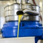 Montpellier : Visit lavender field and an Olive Oil Mill - Detailed Itinerary Breakdown