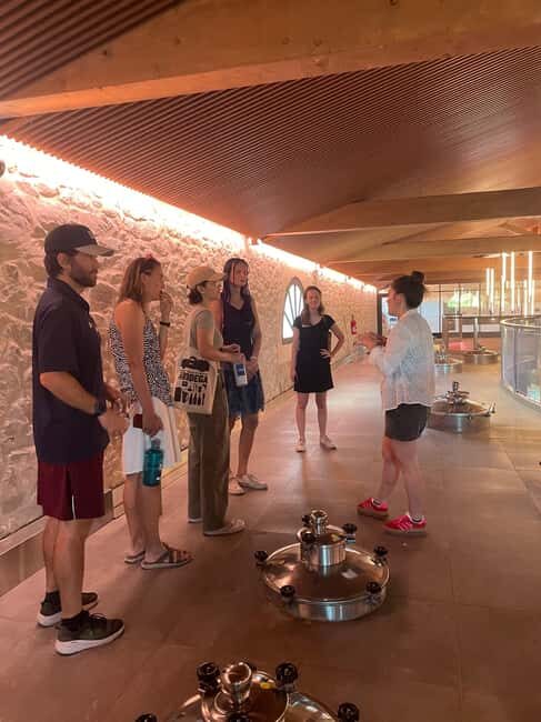 Montpellier : Wine Tour Pic St Loup - The Itinerary in Detail