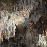 Montpellier:Half-Day Terrasses du Larzac Wine and grotto - Why This Tour Offers Great Value