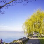 Montreux: Express Walk with a Local in 60 minutes - Who Should Consider This Tour?