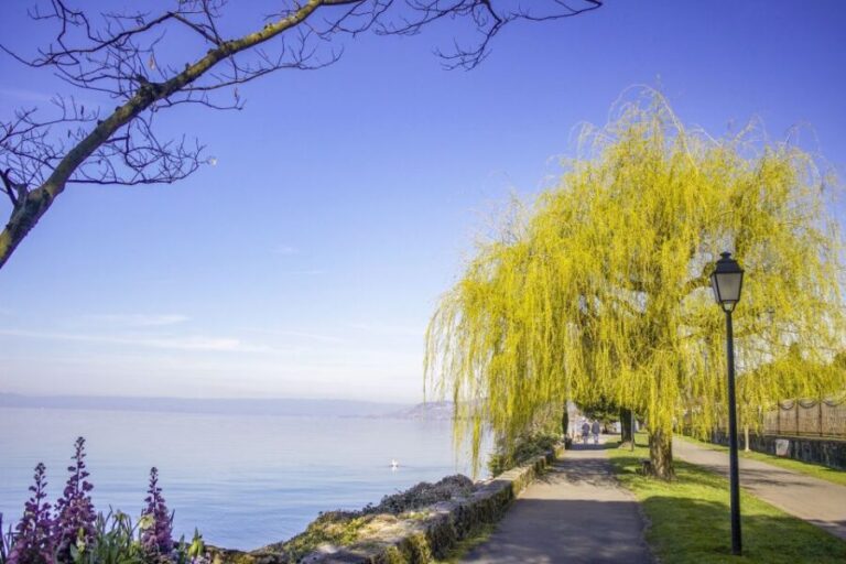 Montreux: Express Walk with a Local in 60 minutes - Who Should Consider This Tour?