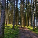 Monts de Guéret: Guided hike to the summit of Maupuy - Who Will Love This Tour?