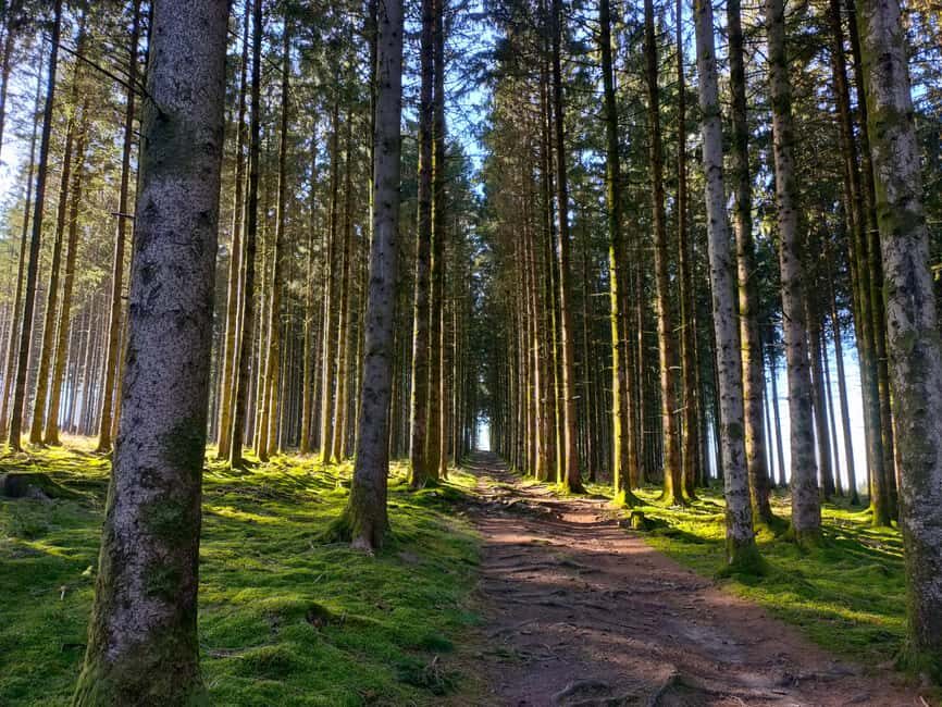 Monts de Guéret: Guided hike to the summit of Maupuy - Who Will Love This Tour?