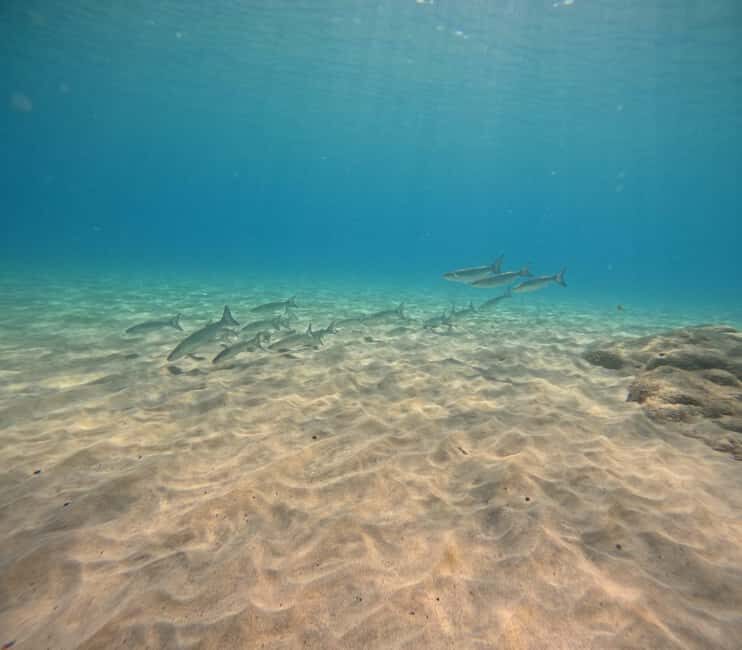 Morro Jable: Try Out Diving, No Prior Experience Needed! - The Itinerary in Detail