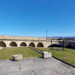 Motovun: The trail of Giants hiking tour & Fritule Tasting - Tasting Fritule and Local Flavors