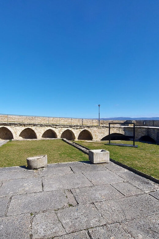 Motovun: The trail of Giants hiking tour & Fritule Tasting - Tasting Fritule and Local Flavors