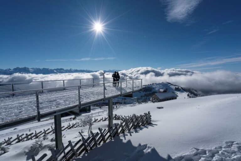 Mount Rigi: Day Pass - Who This Tour Is Perfect For