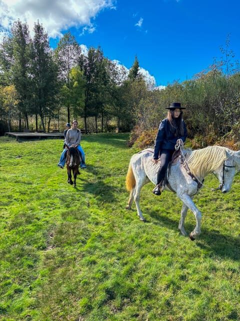Mountain Horseback Ride, Lunch, Wine Tasting - Authentic Experiences and Practical Insights
