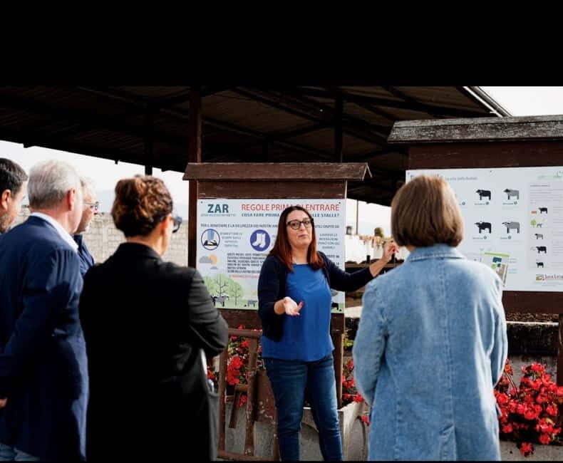 Mozzarella experience: discovering the art of cheese making - How the Experience Adds Value