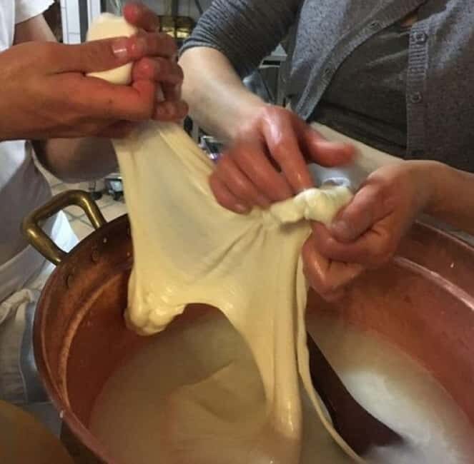 Mozzarella Gnocchi and Tiramisù Workshop in Amalfi Coast - Exploring the Vineyard and Cellar Tour