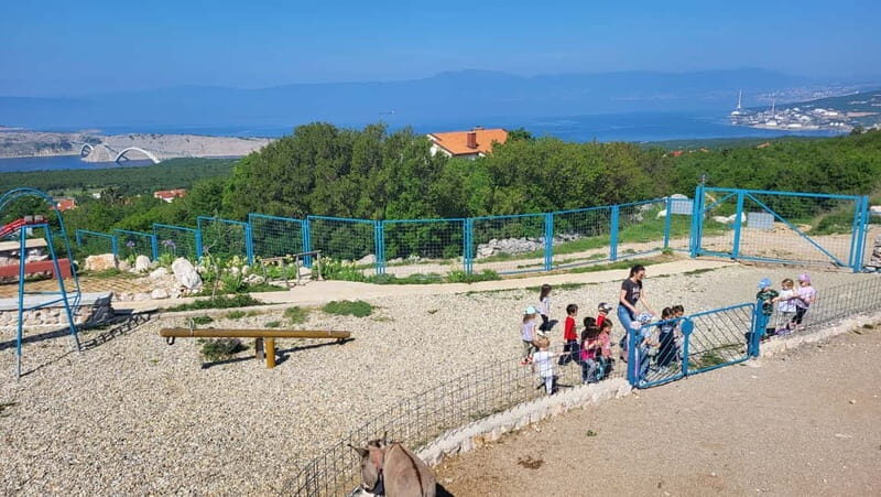 mrika (near Rijeka/Krk/Crikvenica) Donkey Farm Family Fun - A Closer Look at the Donkey Farm Experience