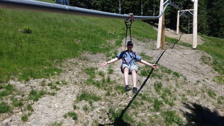 Mt. Pilatus Golden Roundtrip Private Day Trip from Basel - What Makes This Tour Stand Out?