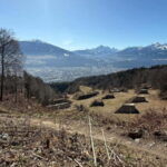 Mtb tours Innsbruck (experience the most beautiful trails in Innsbruck) - Who Should Book This Tour?