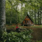 Mtirala National Park 2-Day Guided Hiking Tour from Kutaisi - Evaluating the Value