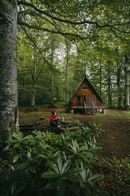 Mtirala National Park 2-Day Guided Hiking Tour from Kutaisi - Evaluating the Value