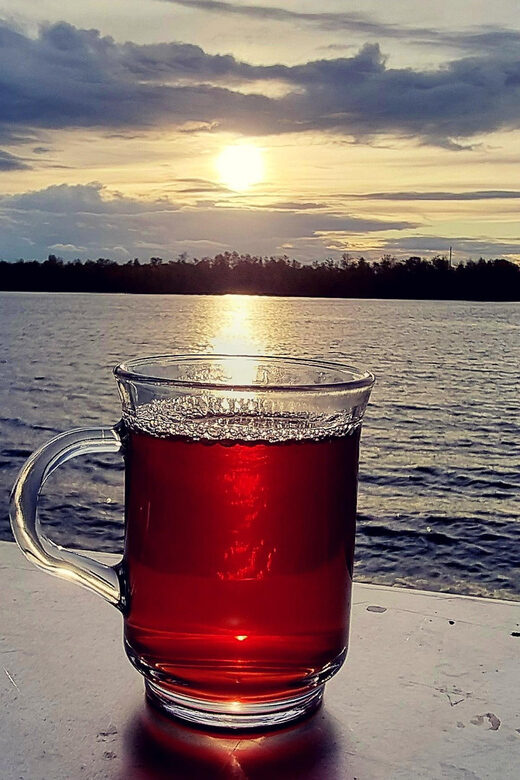 Mulled wine ride in the Leipzig New Zealand - Why This Experience Works