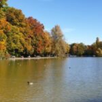 Munich: City Highlights Guided Segway Tour - The Practicalities: What You Need to Know