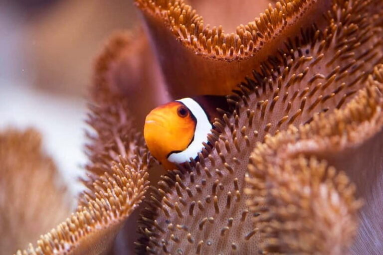 Munich: Day Ticket to Sea Life - The Value of Your Ticket