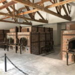 Munich Specials (choose!): OldTown, Dachau, 10Tastes, Spooky - In-Depth Look at the Itinerary and Stops