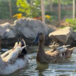 Murcia, Astronomy Night in Finca Astronomica - What to Expect from Your Evening at Finca Astronomica