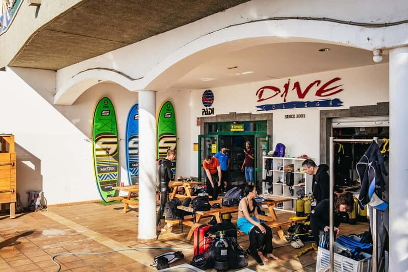 Museo Atlántico: Scuba Dive Lesson for Non-Certified Divers - Practical Details and Value