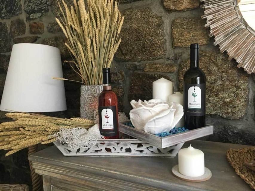 Mykonos: Half-Day Wine Tasting and Snack at a Local House - A Deep Dive Into the Experience