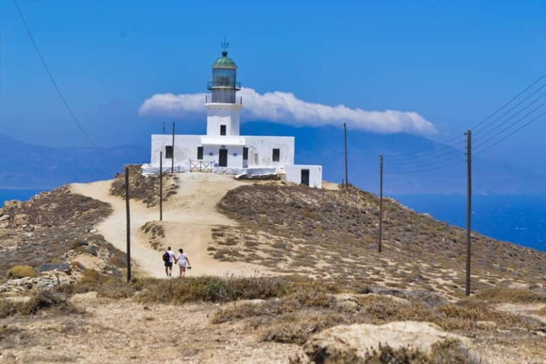 Mykonos Island & Chora Walking Tour for Cruise Travelers - Transport, Pace, and Practical Details
